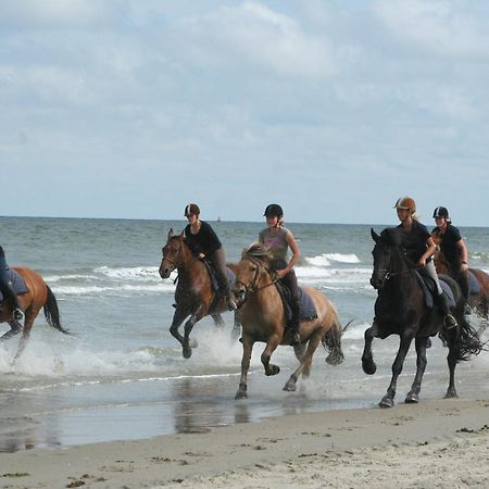 Donia Huys Hotel Vlieland Luaran gambar