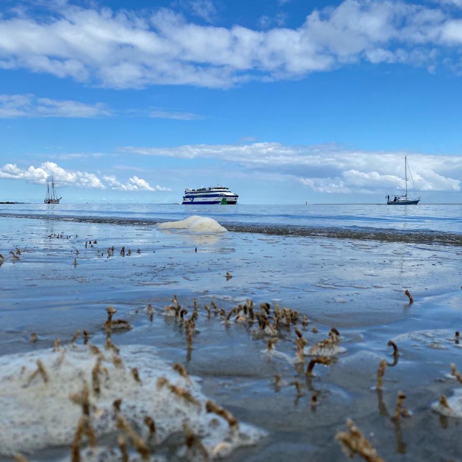 Donia Huys Hotel Vlieland Luaran gambar